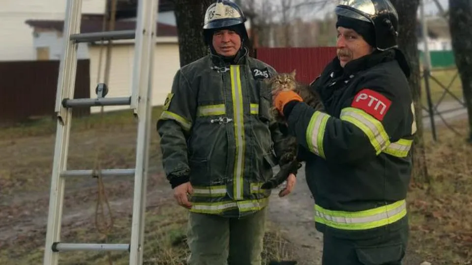 Фото: ГКУ МО «Мособлпожспас»