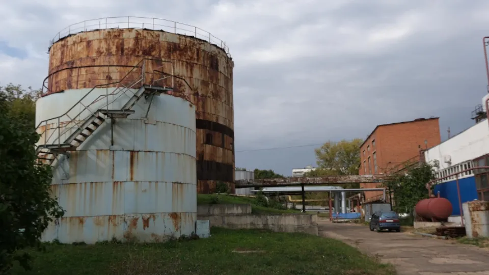 Фото: Мария Панина