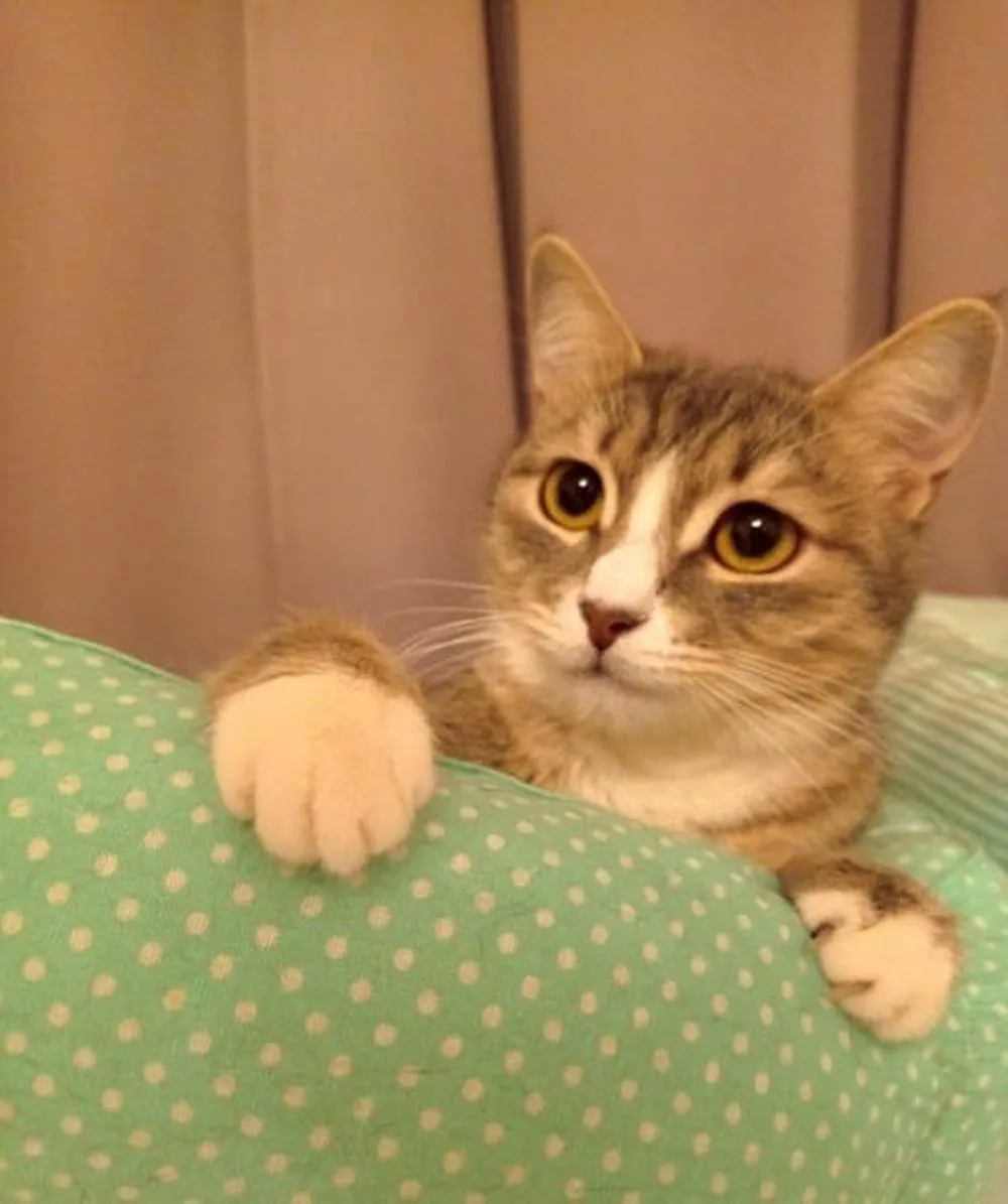 Фото: Истра | Искра! / ВКонтакте