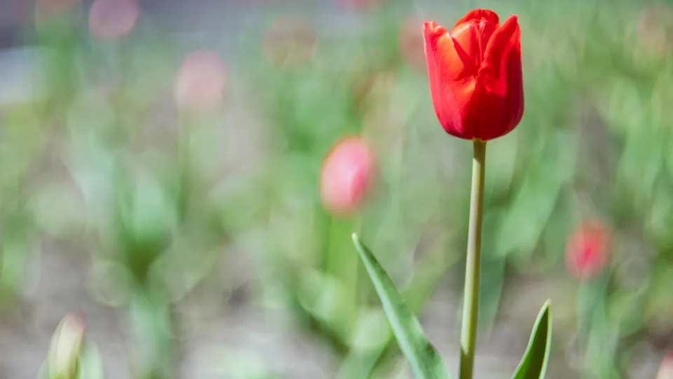 Фото: REGIONS/Наталия Надточая