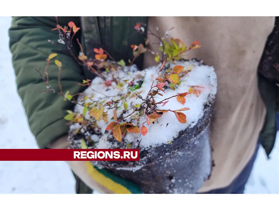 Фото: Дмитрий Беденко