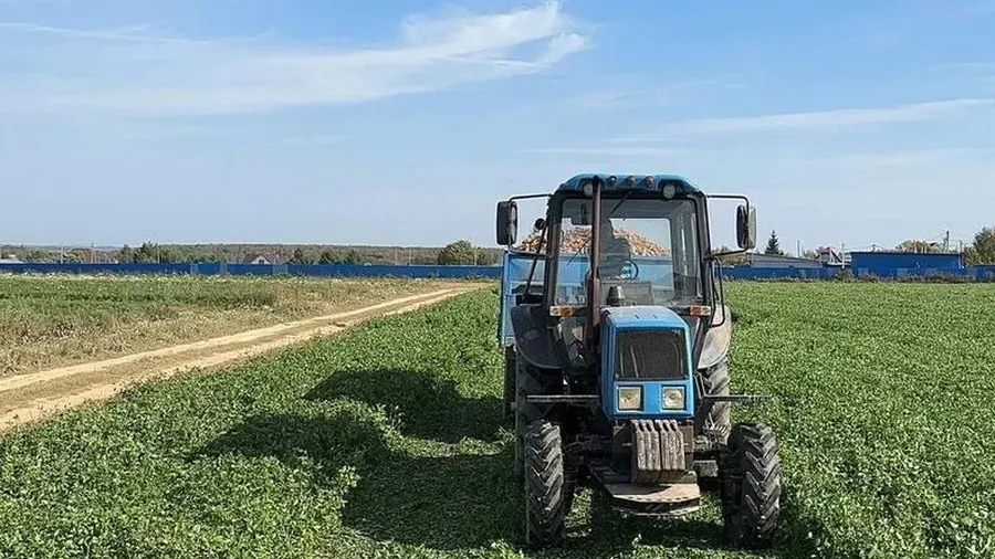 Фото: пресс-служба Администрации Можайского округа