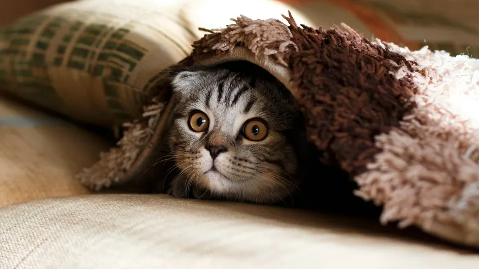 Фото: unsplash.com