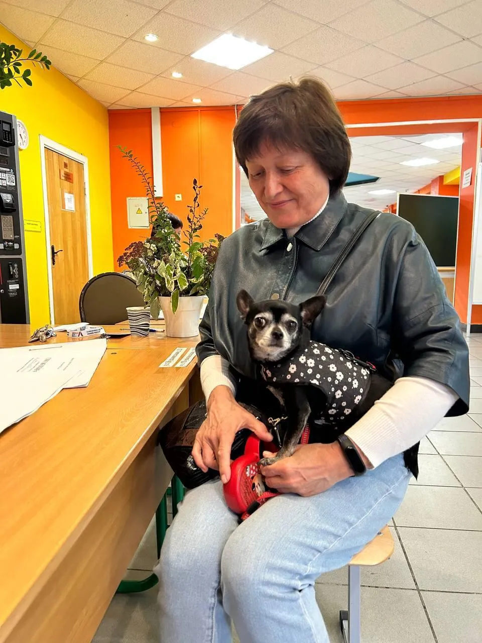 Мособлизбирком