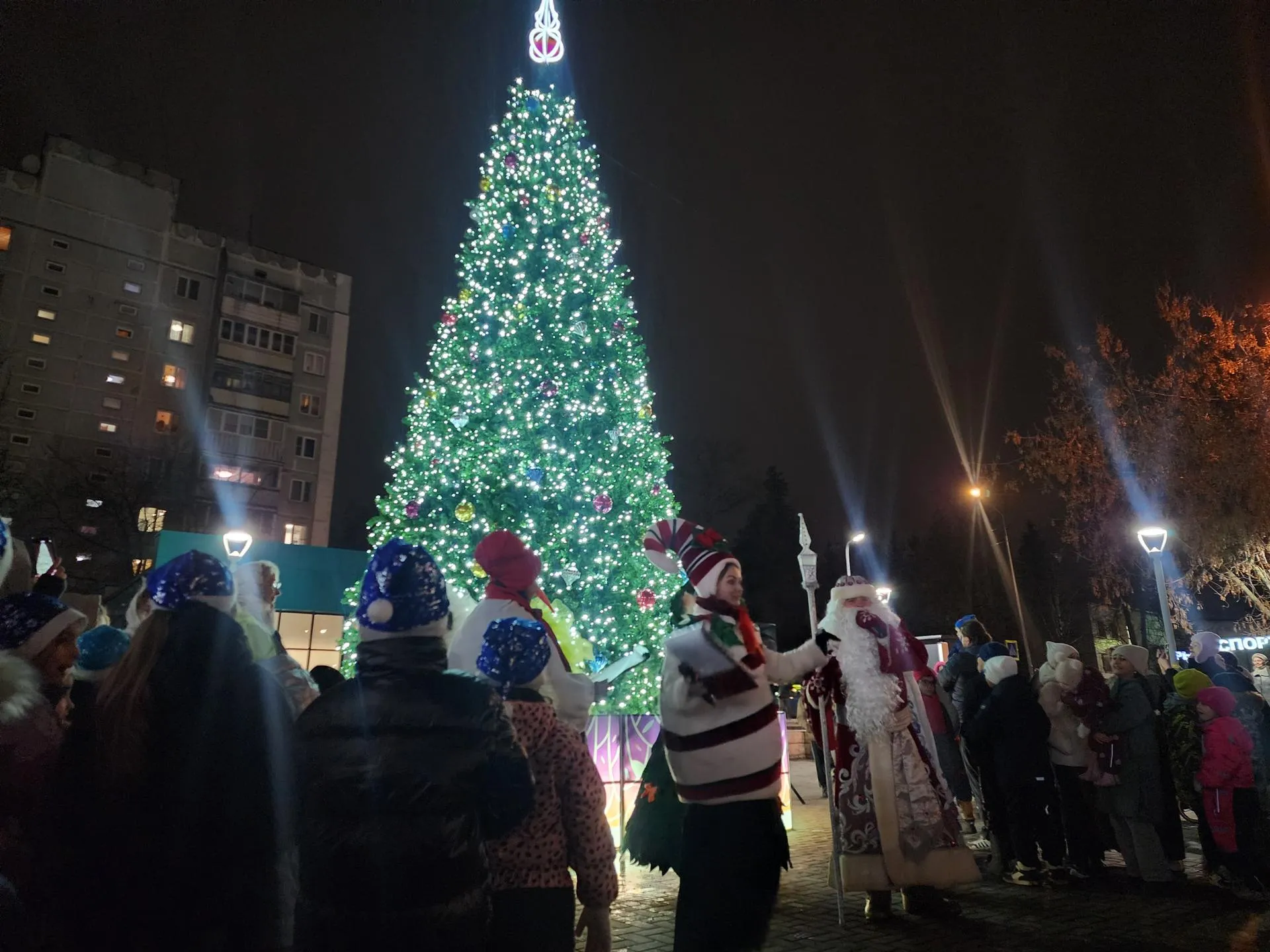 Фото: REGIONS/Кристина Ларина