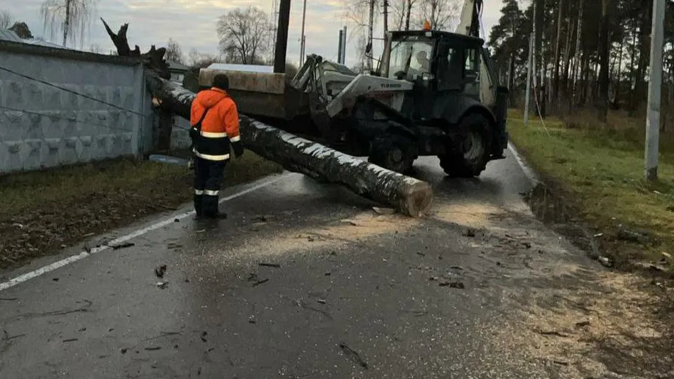 Фото: пресс-служба администрации городского округа Шатура