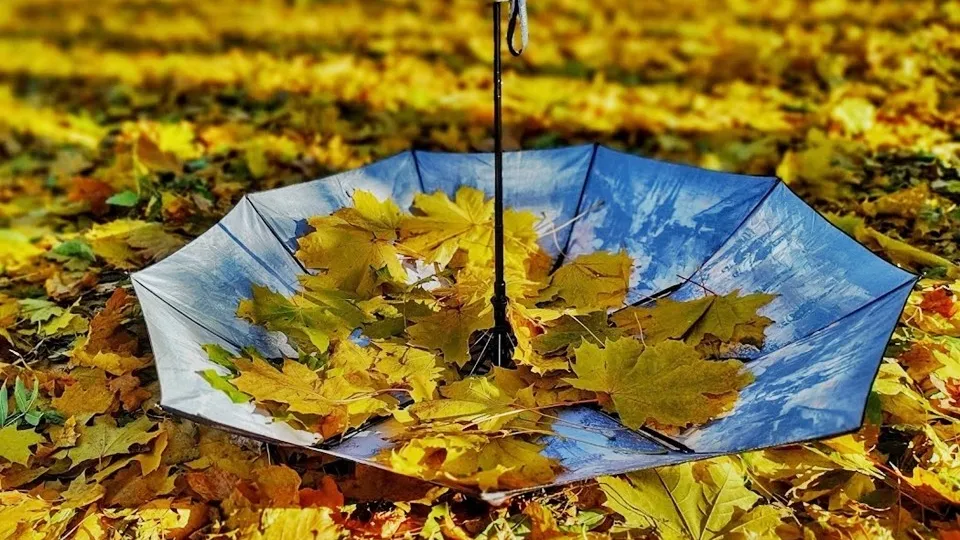 Фото: REGIONS/Алексей Селиверстов