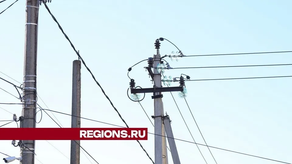 Фото: Александр Дрожжин