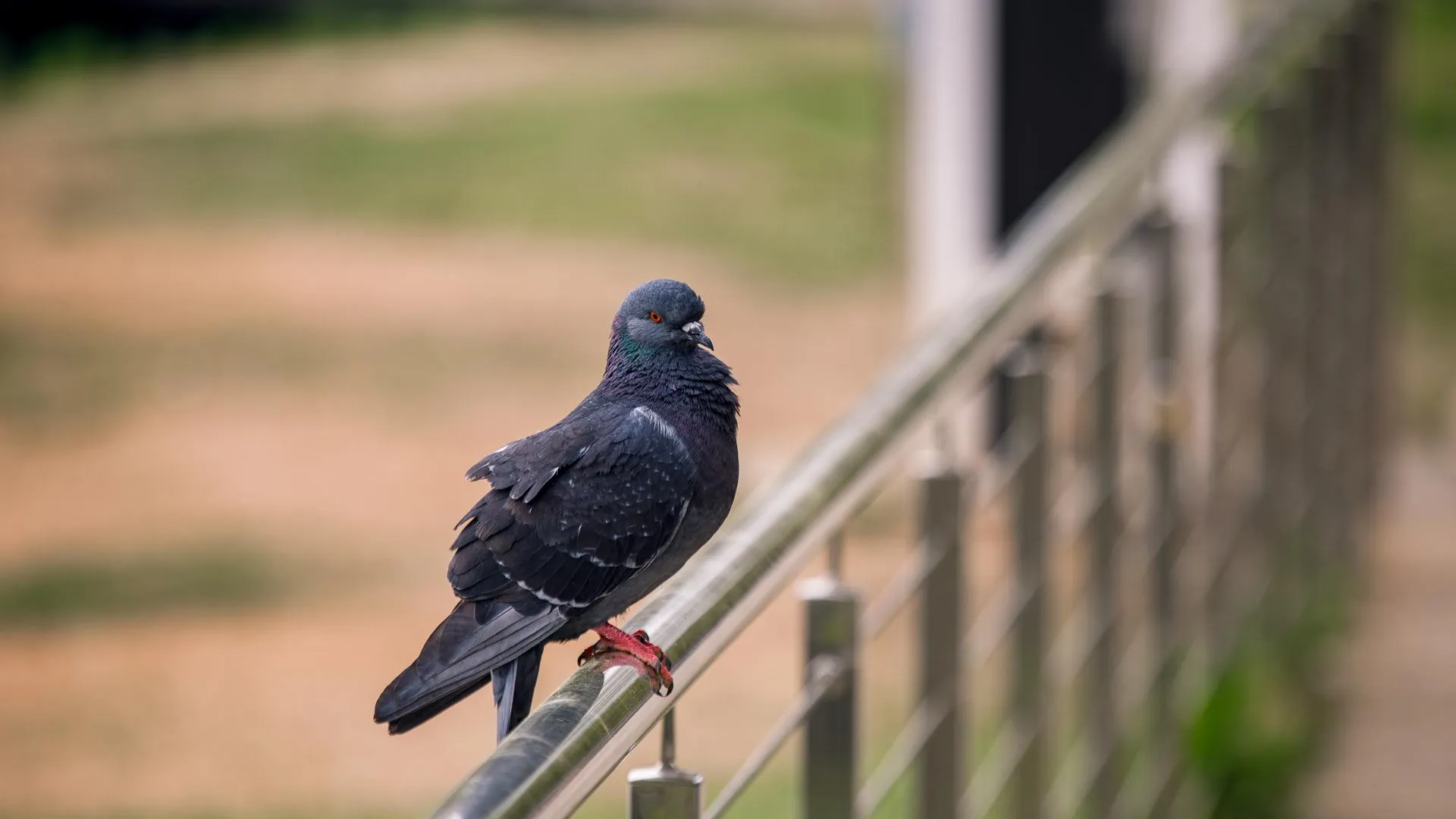 медиасток.рф