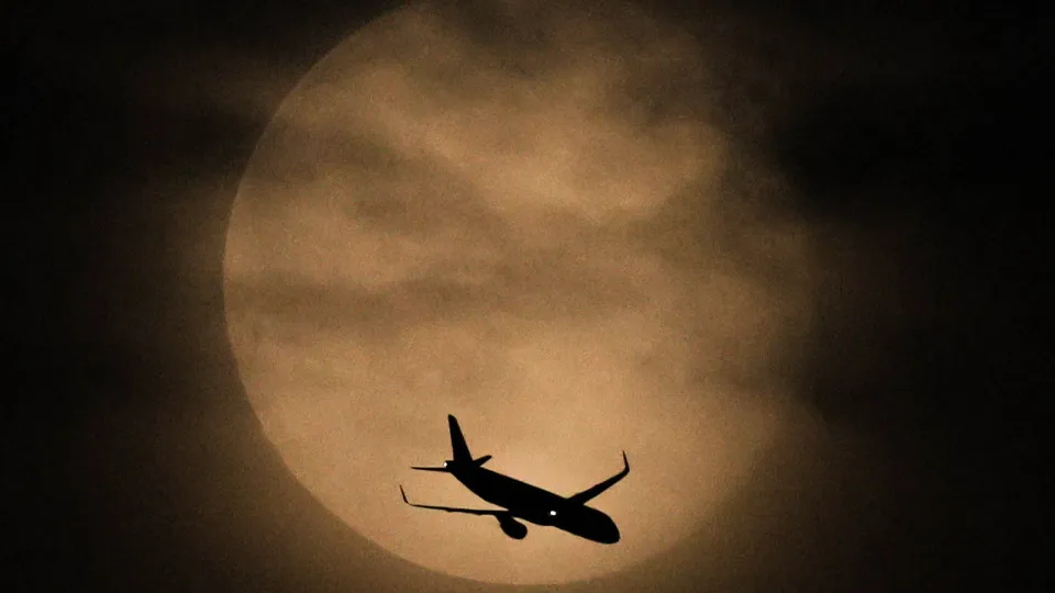 Фото: ТАСС/Сергей Савостьянов