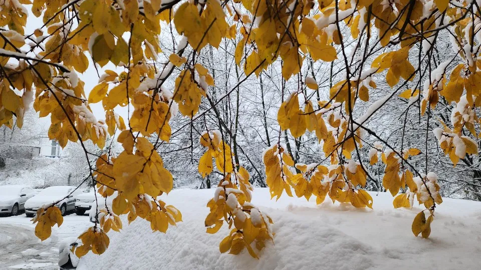 Фото: МедиаБанк Подмосковья/Артём Мишуков