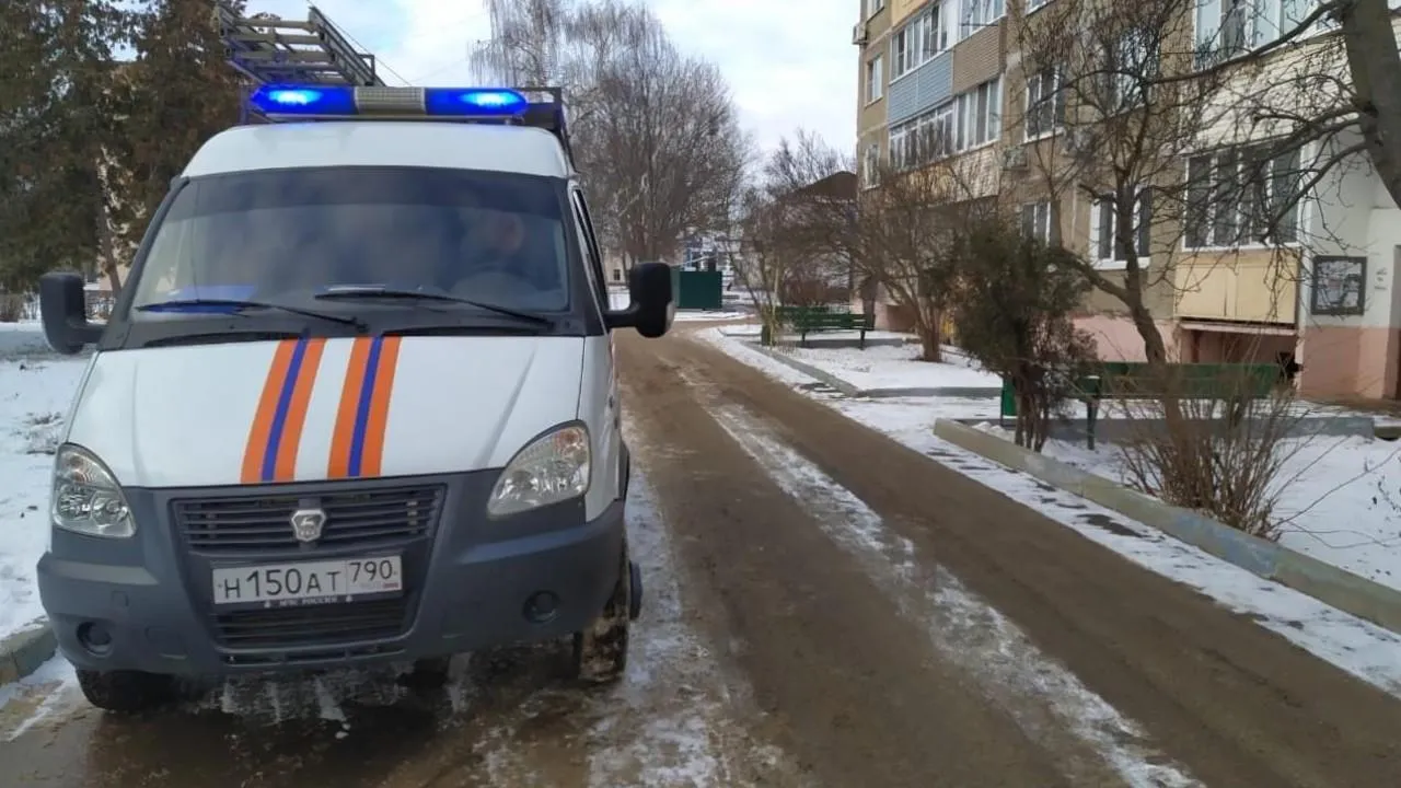 Подмосковные спасатели освободили многодетную семью из запертой квартиры в Шатуре