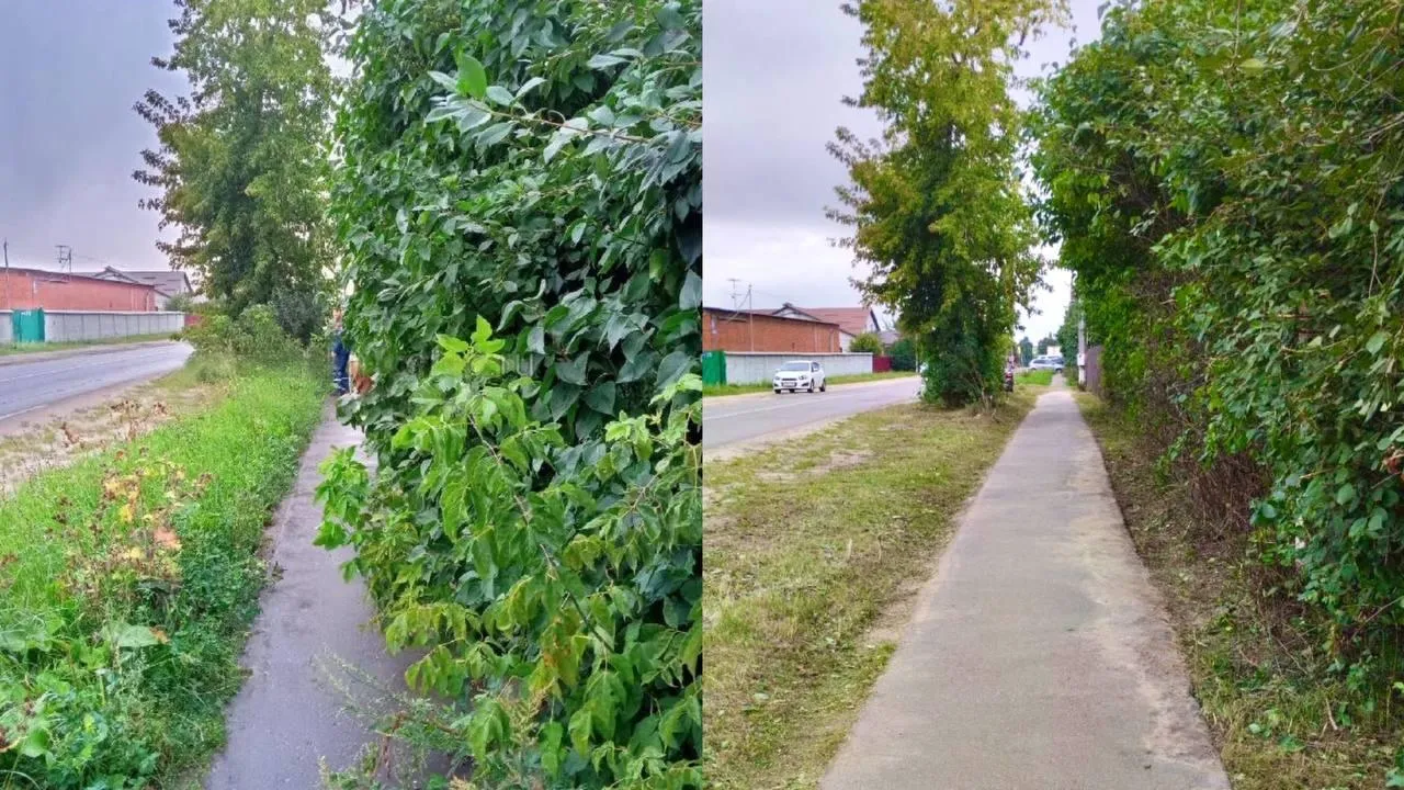 Фото: ГУСТ МО