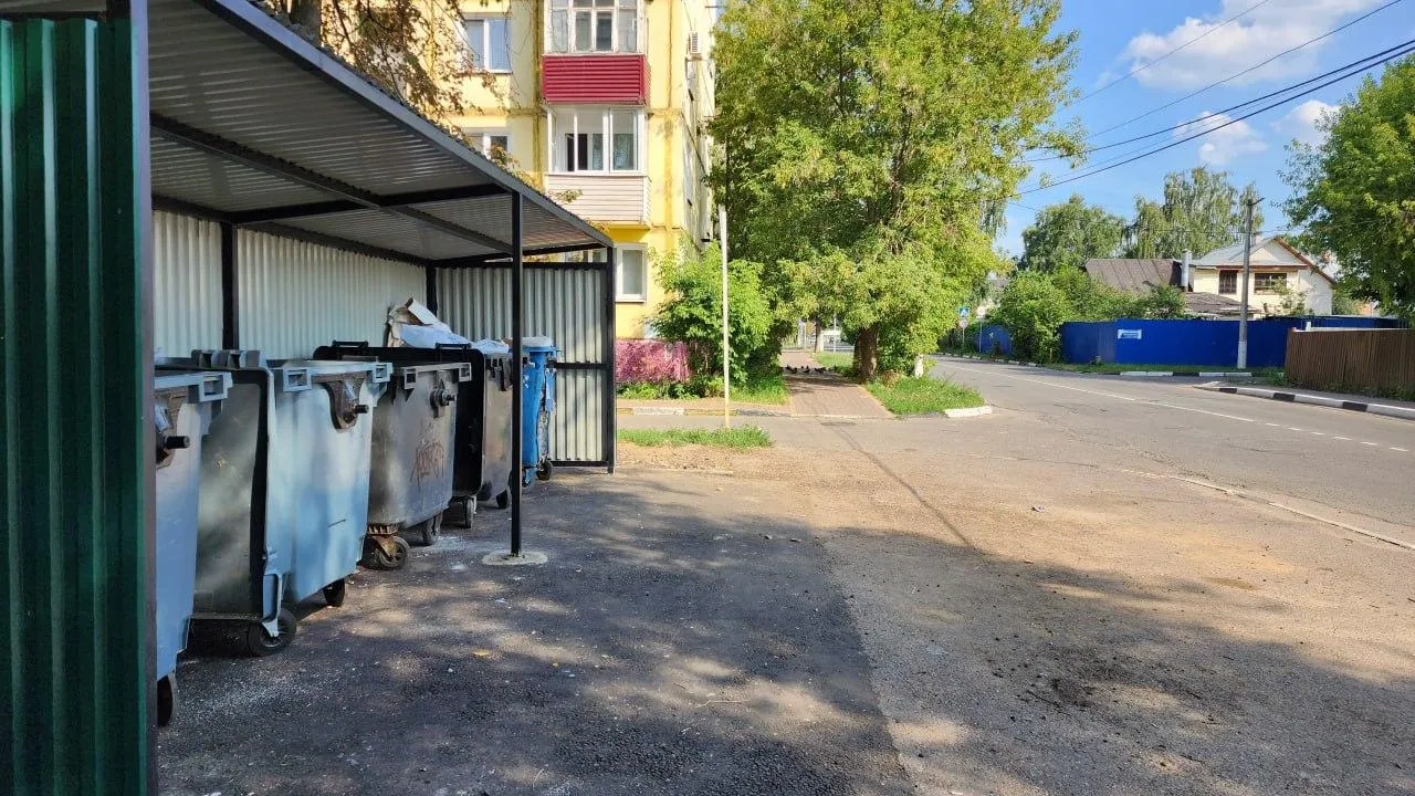 Фото: Раменский медиацентр
