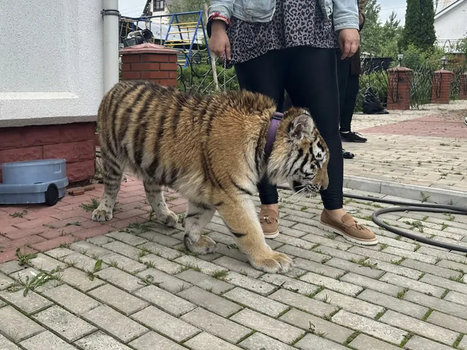 Фото: t.me/radionovasg