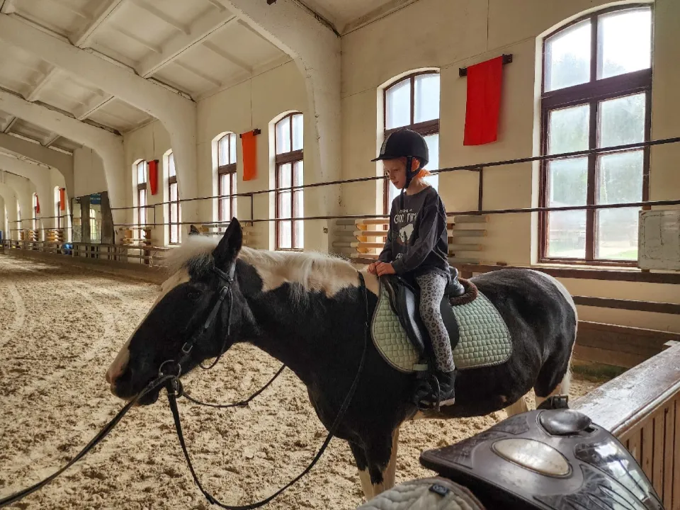 Фото: МедиаБанк Подмосковья/Мария Шигорева