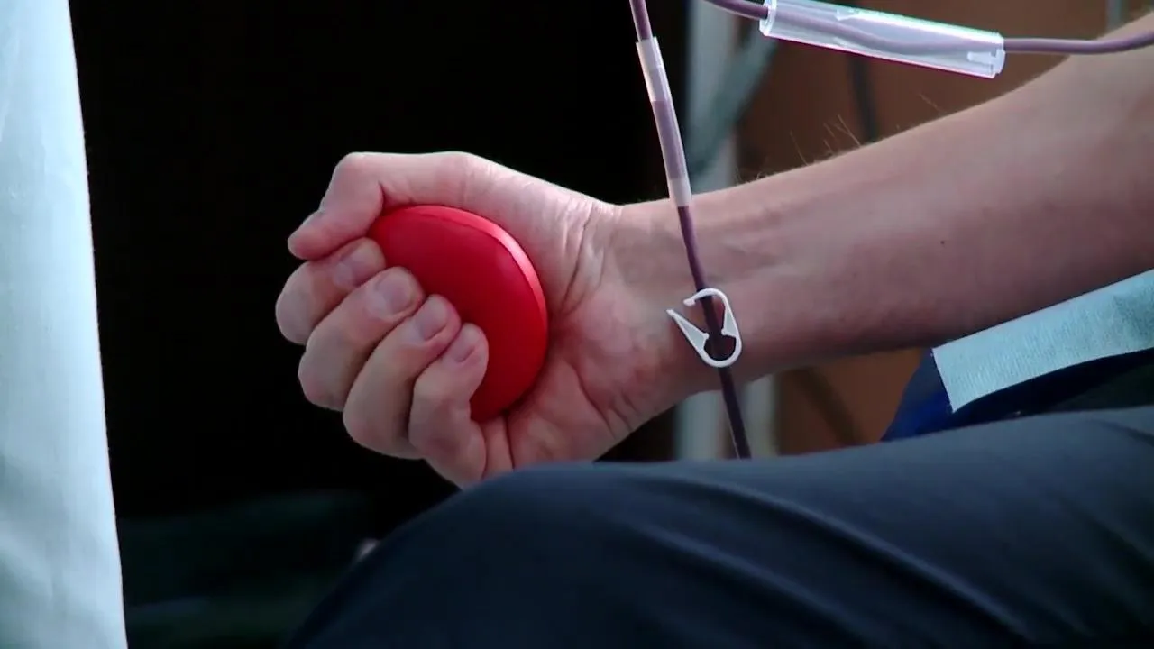 Фото: из архива редакции in-reutov.ru