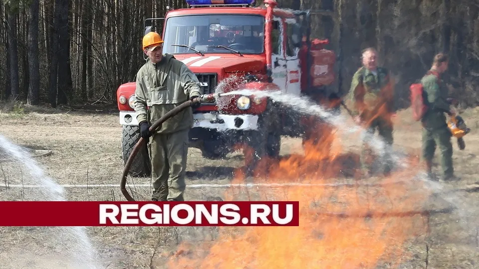 Фото: Александр Дрожжин