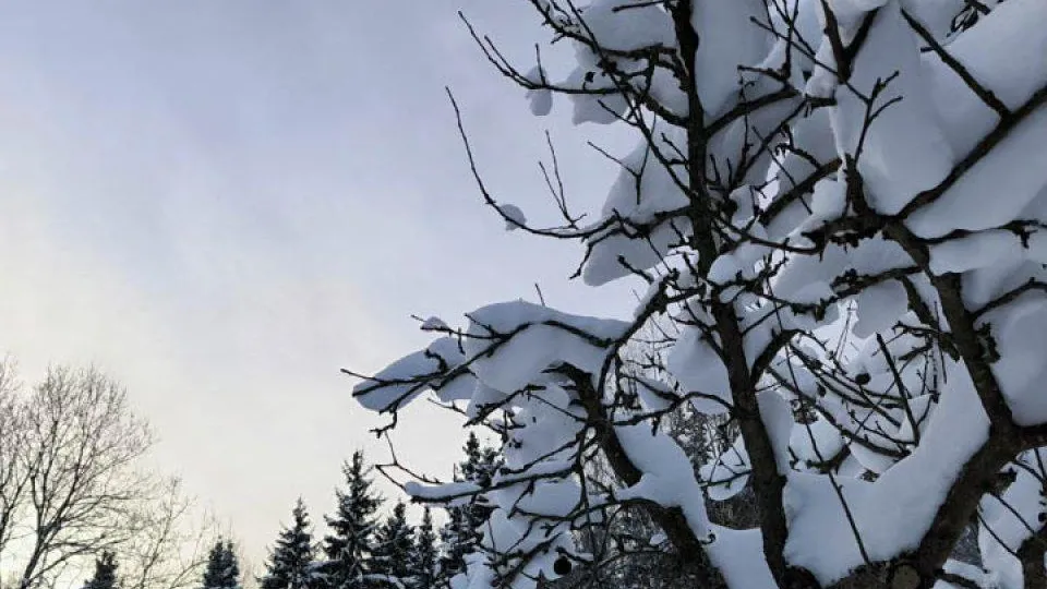 REGIONS/Роман Малышенко