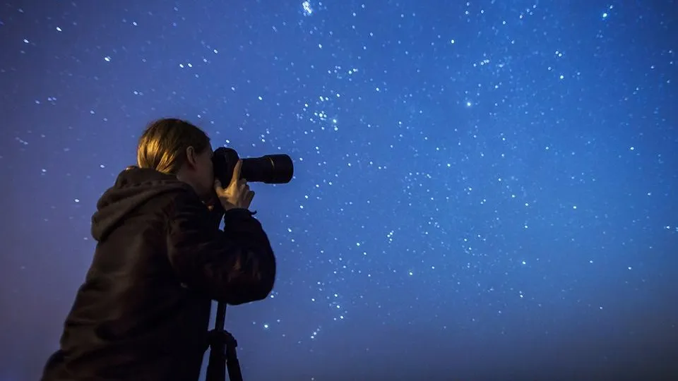 Фото: istockphoto.com/iiievgeniy