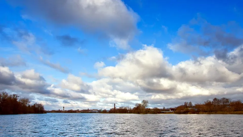 Фото: Администрация Богородского городского округа