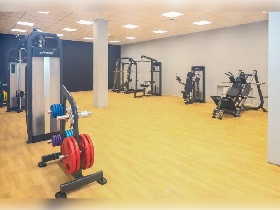 Фото: Раменский медиацентр