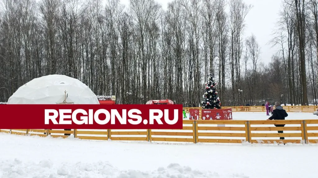 Фото: Олег Книжник