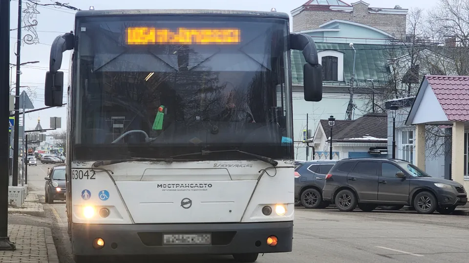 Фото: МедиаБанк Подмосковья/Хавива Фонина