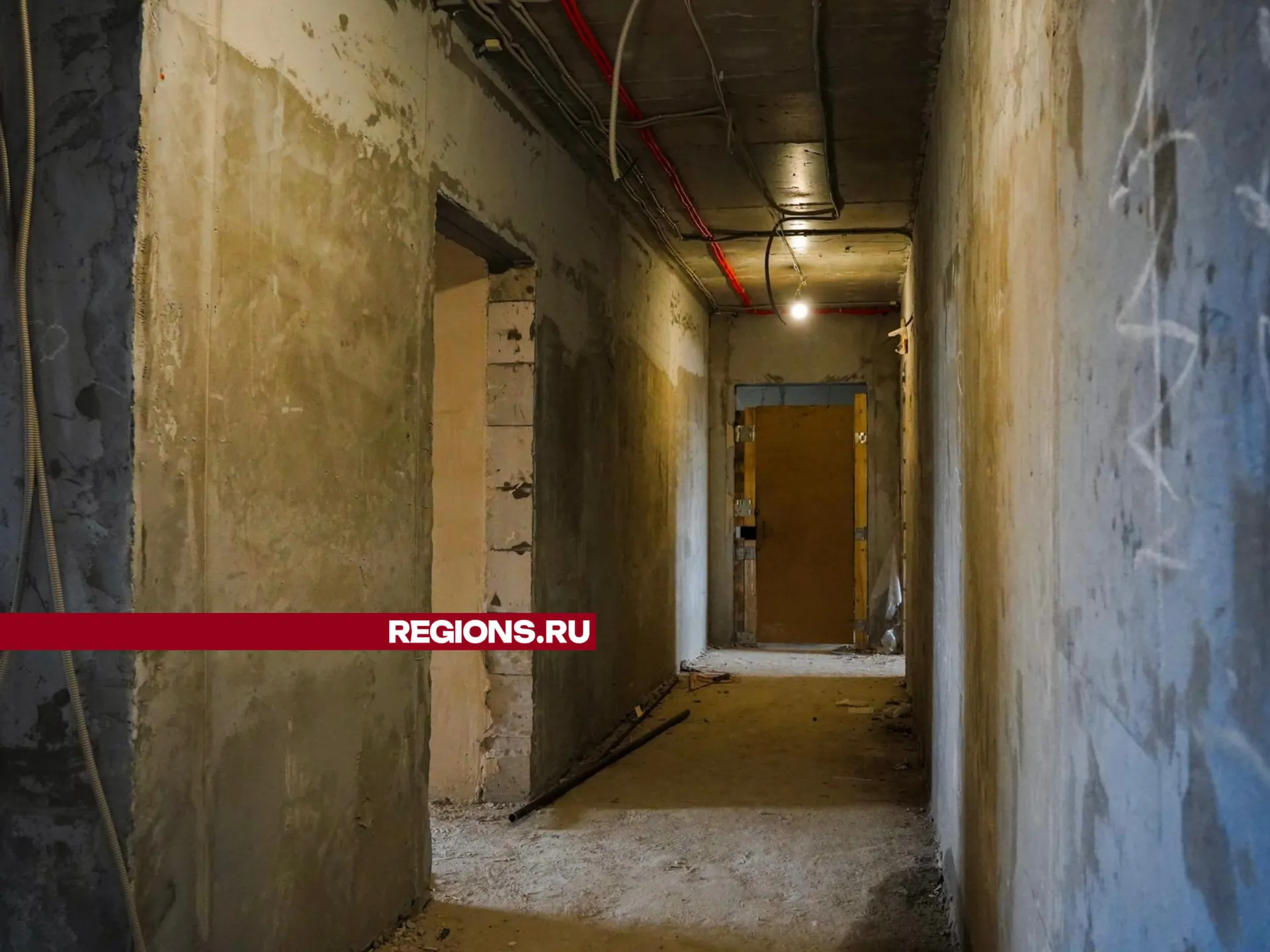 Фото: Анастасия Хренкова