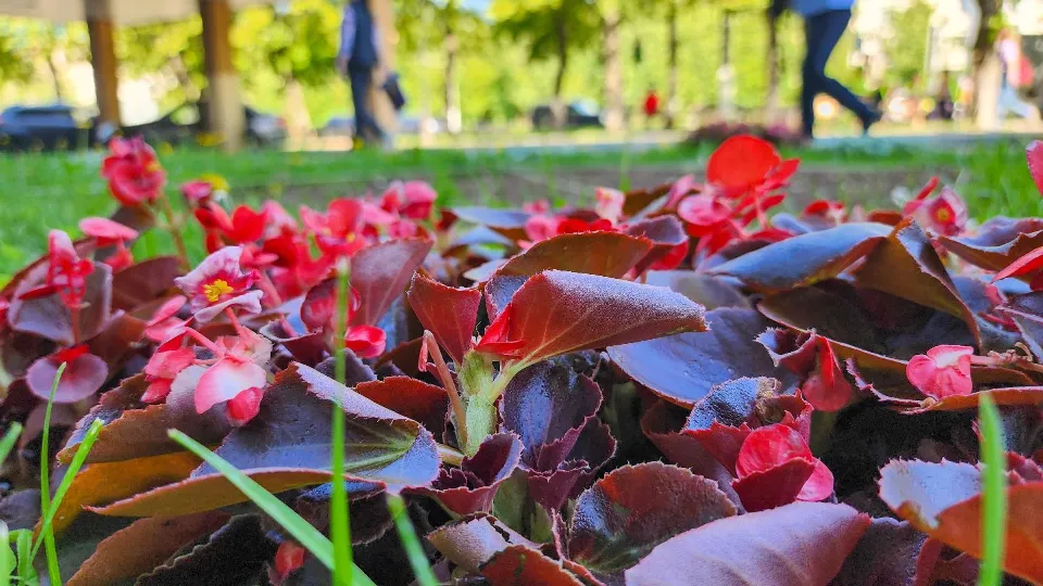 Фото: Мария Андрюхина