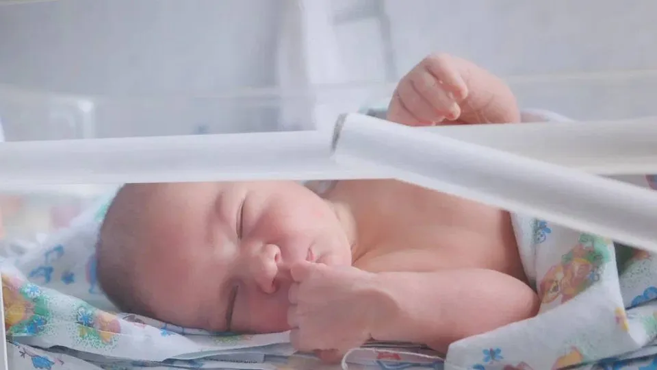 Фото: МОЦОМД