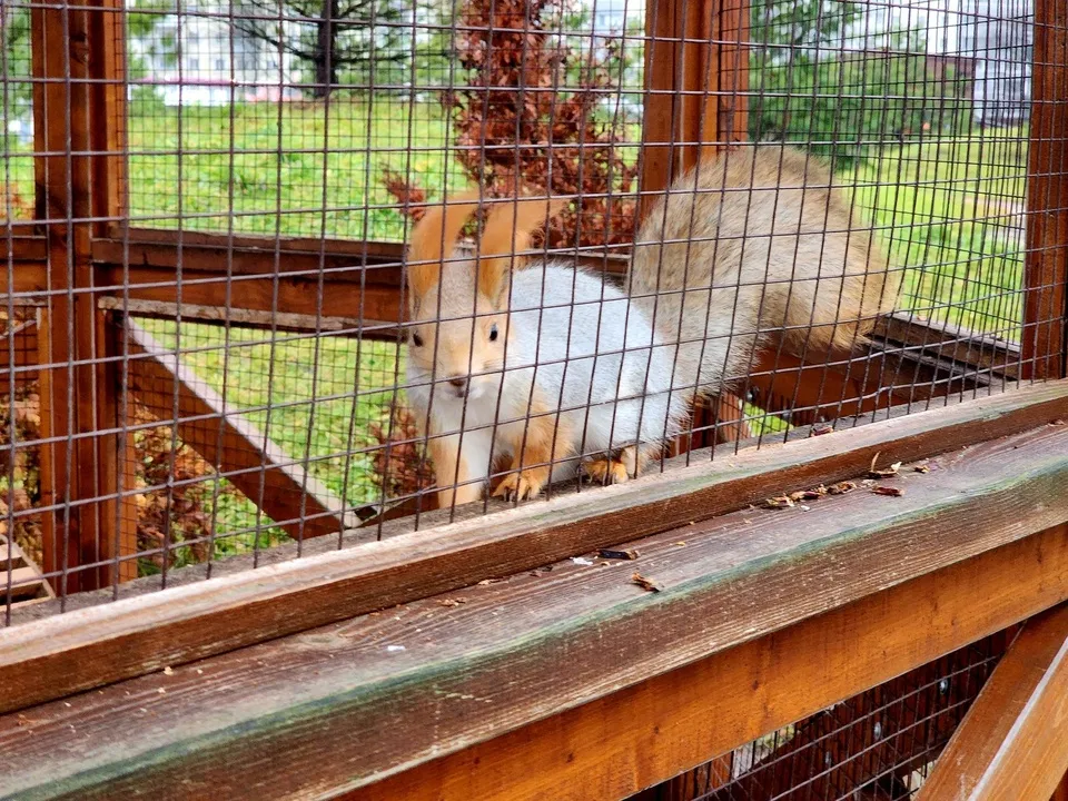 Фото: Ольга Сычева