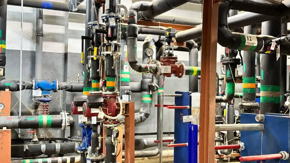 Фото: пресс-служба администрации г.о. Котельники