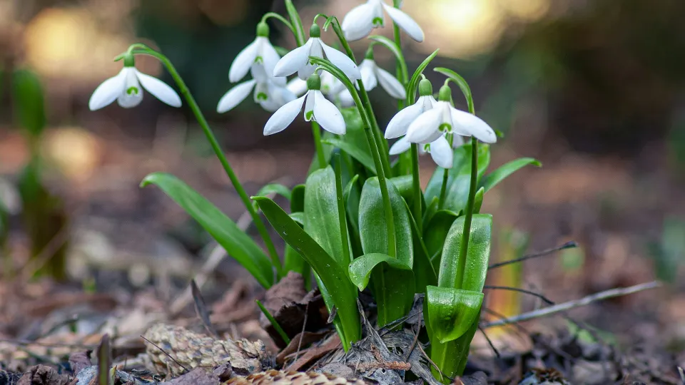 Фото: unsplash.com