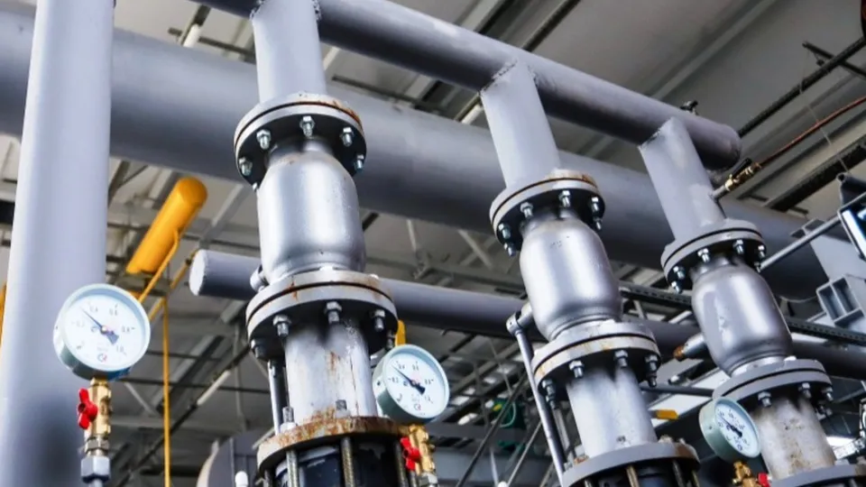 Фото: пресс-служба администрации г.о. Кашира