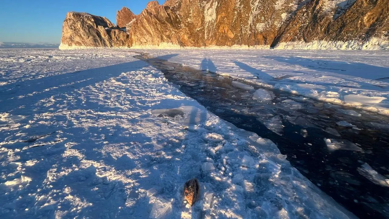 Прокуратура Иркутской области