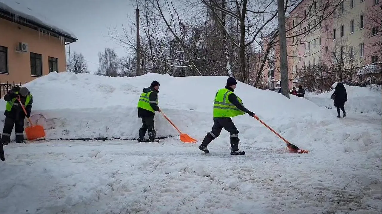 МедиаБанк Подмосковья/Ольга Антонова