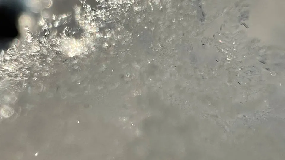 фото Елена Фурман