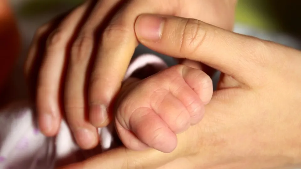 Фото: pxhere.com