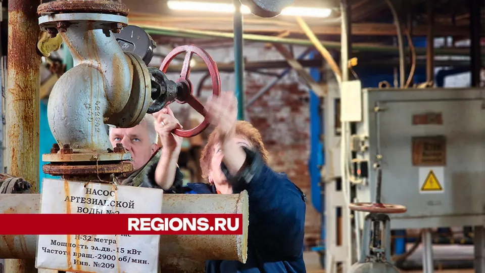 Фото: Светлана Плотникова