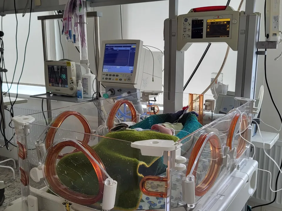 Фото: пресс-служба Коломенского ПЦ