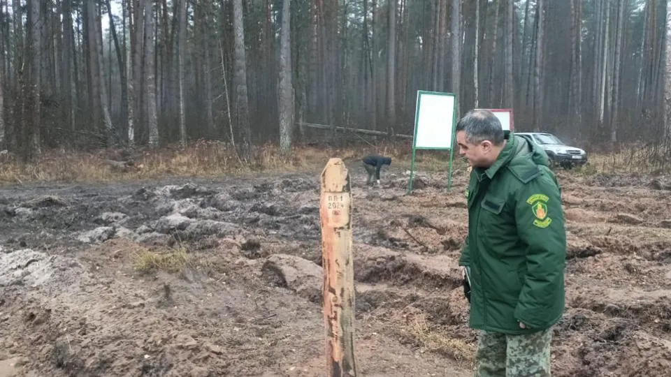 Фото: Комитет лесного хозяйства МО