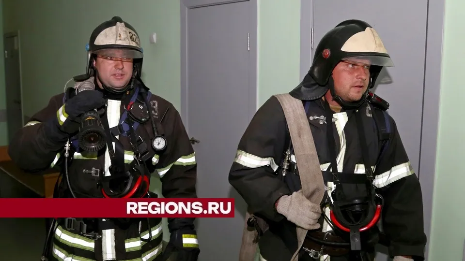 Фото: REGIONS/Александр Дрожжин