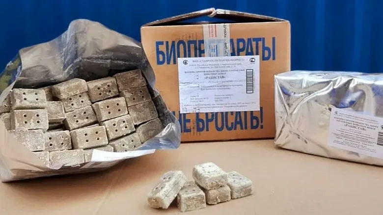 Пресс-служба Комитета лесного хозяйства Московской области