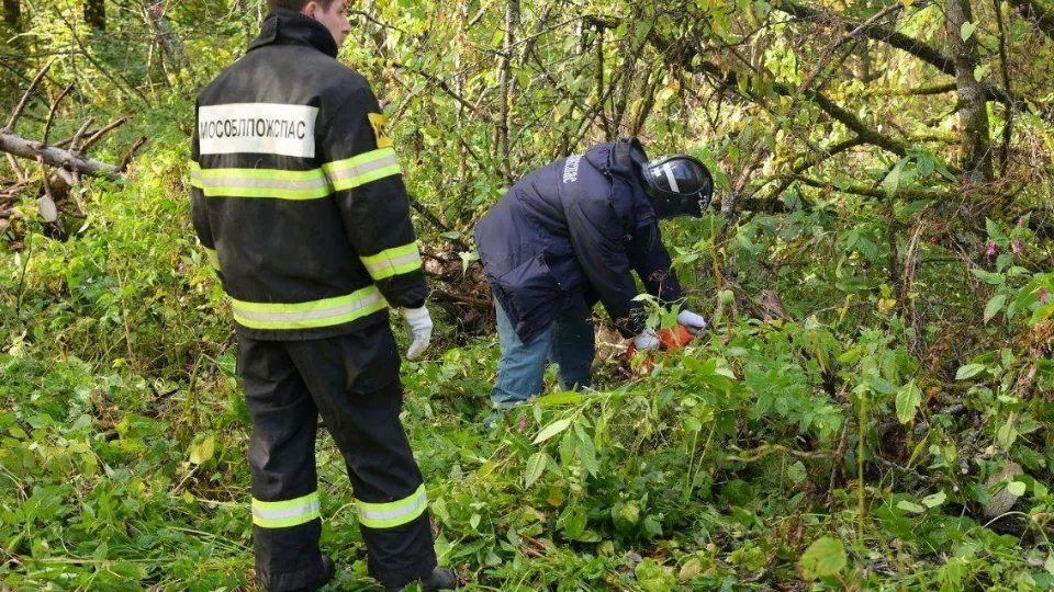 Фото: пресс-служба администрации Сергиево-Посадского г.о.