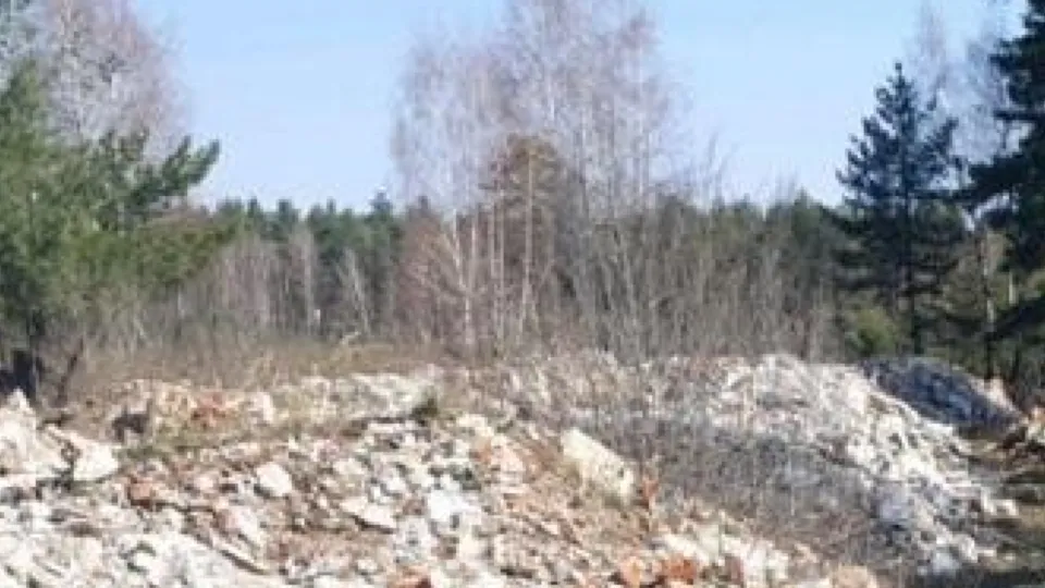 Фото: пресс-служба Минэкологии Московской области