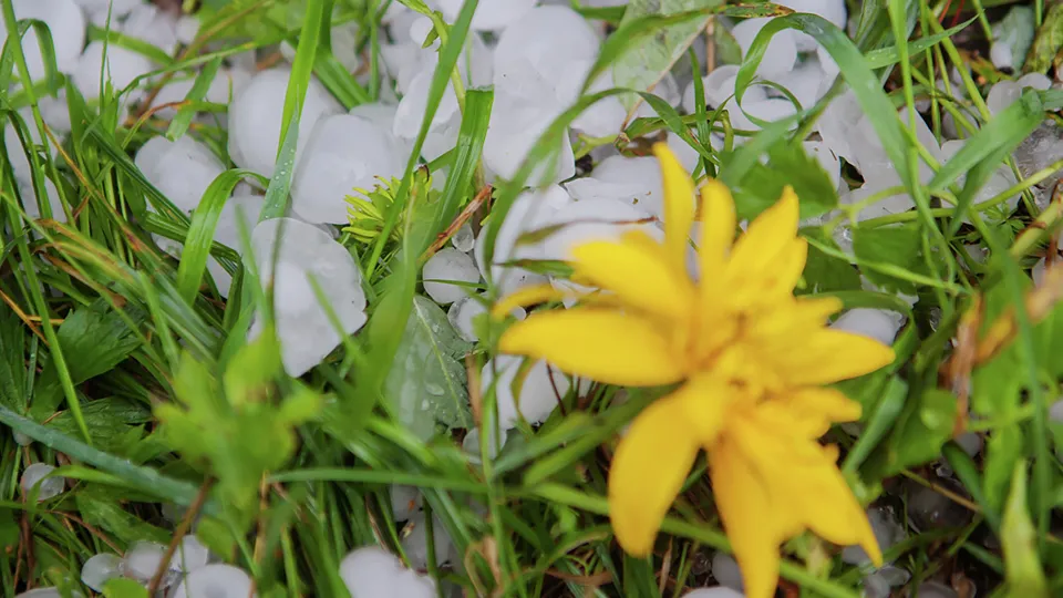 Фото: РИА Новости/Игорь Подгорный