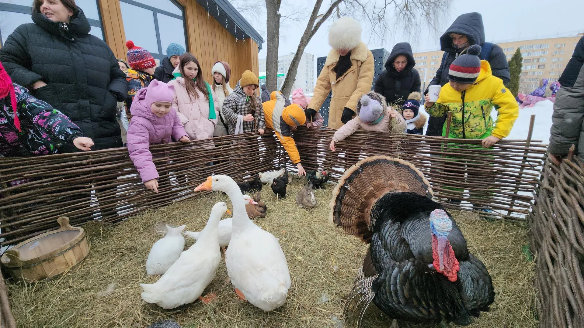 МедиаБанк Подмосковья/Юлия Смагринская