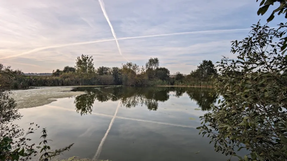 Фото: REGIONS/Алексей Селиверстов