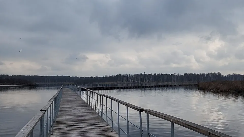 Фото: МедиаБанк Подмосковья/Роман Савельев